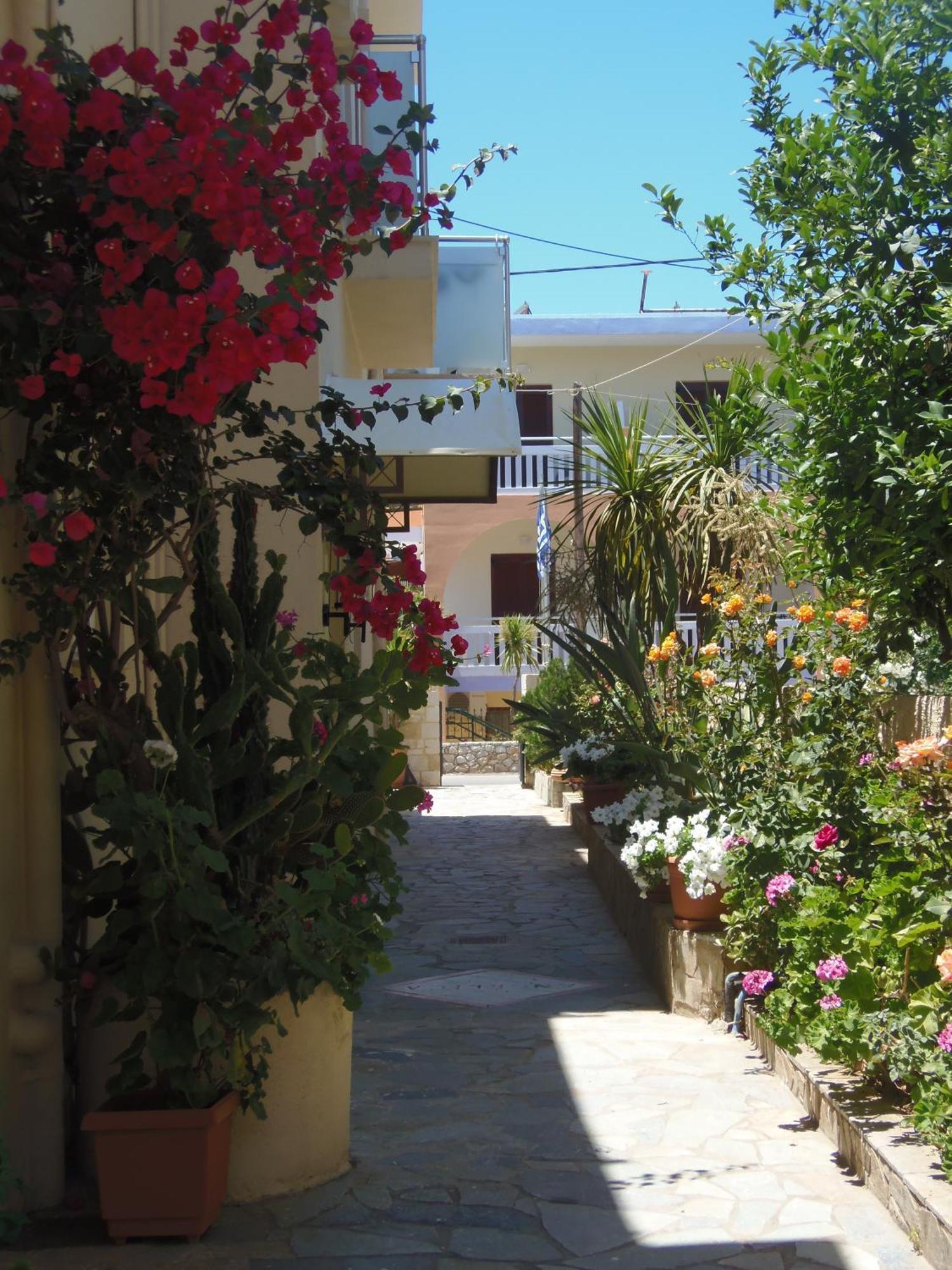 Angelica Studios And Apartments Agia Marina Esterno foto
