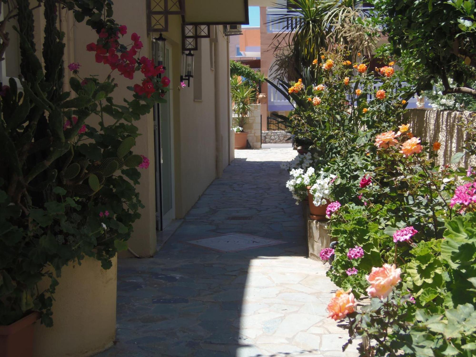 Angelica Studios And Apartments Agia Marina Esterno foto